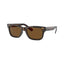 Ray Ban RB2283 902/57 55