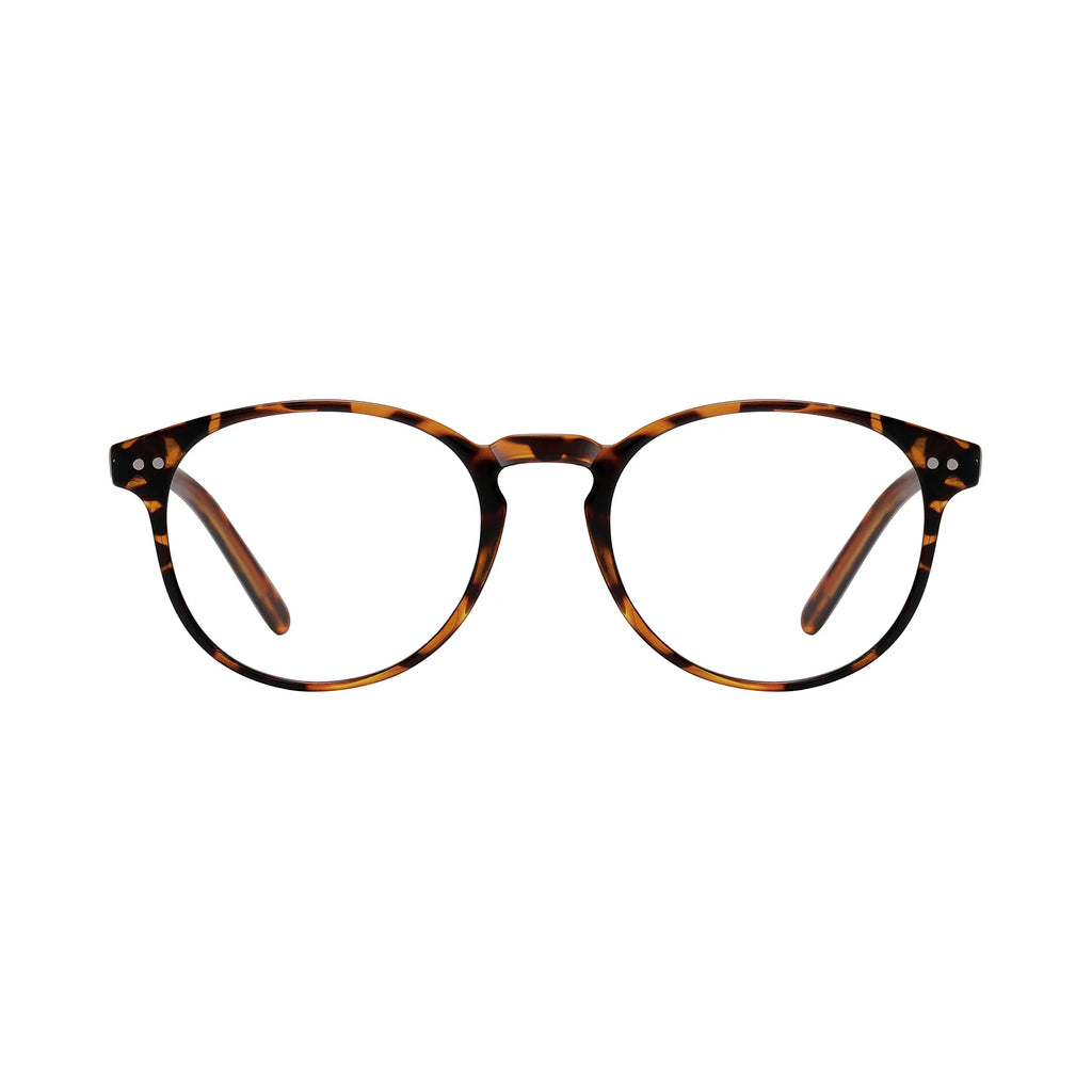 Armação graduada Sines havana brilhante