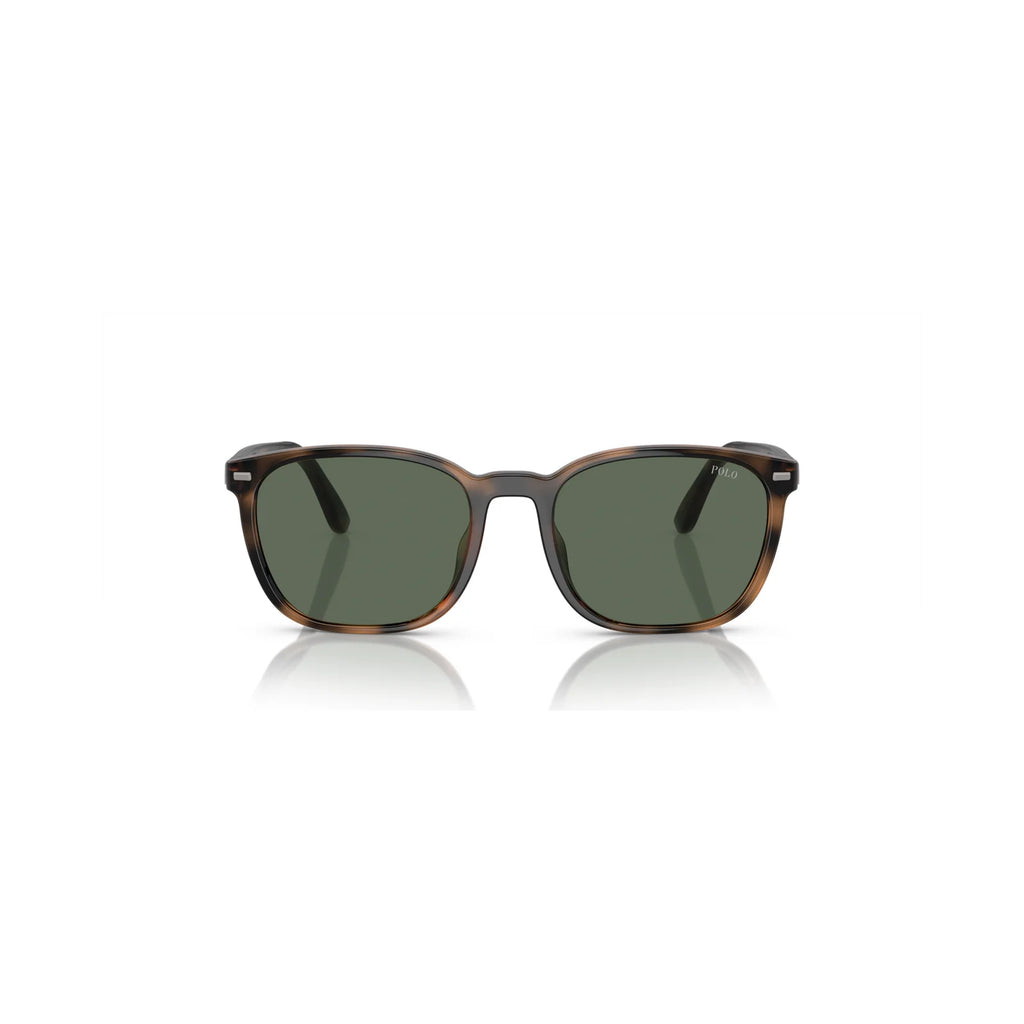 Óculos de sol Polo Ralph Lauren PH4208U 597471 55