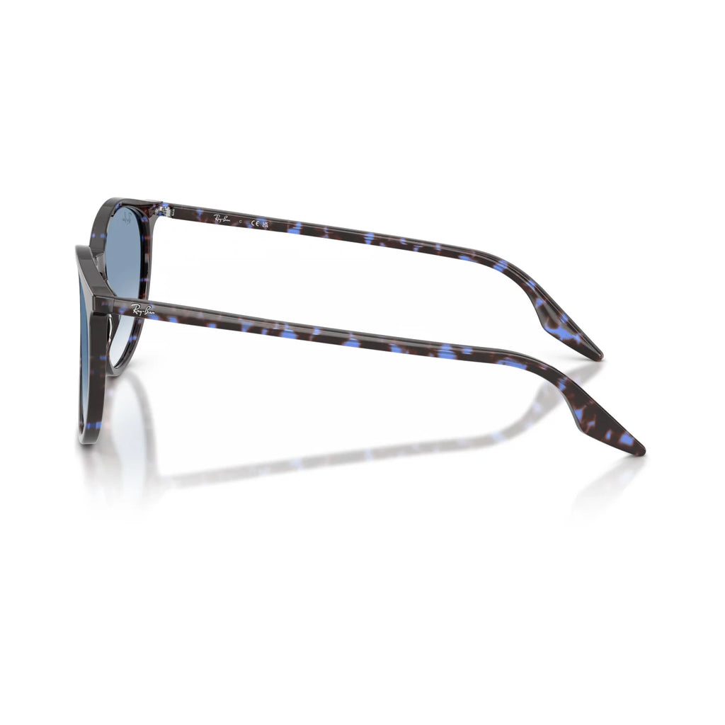 Ray Ban RB2204 14303F 54