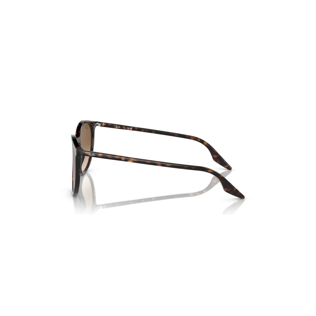 Óculos de sol Ray Ban RB2204 902/51 54