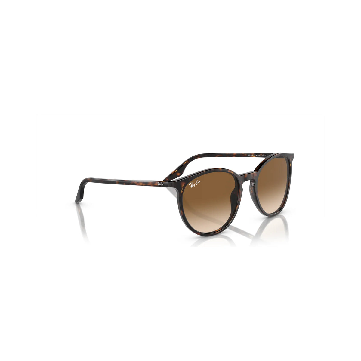 Óculos de sol Ray Ban RB2204 902/51 54