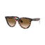 Ray Ban RB2241 133451 54