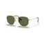 Óculos de sol Ray Ban RB3548N 001 54-21-145