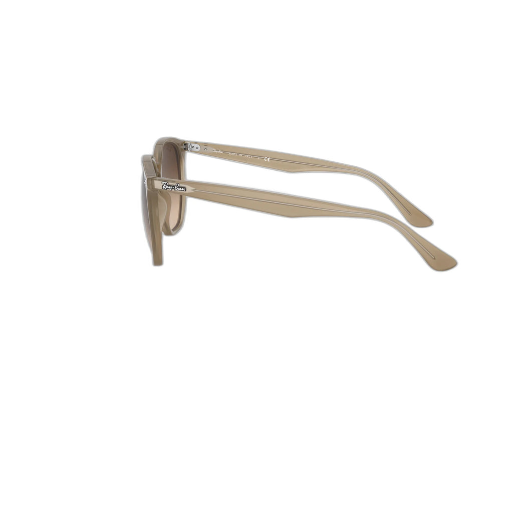 Ray Ban RB4306 616613 54