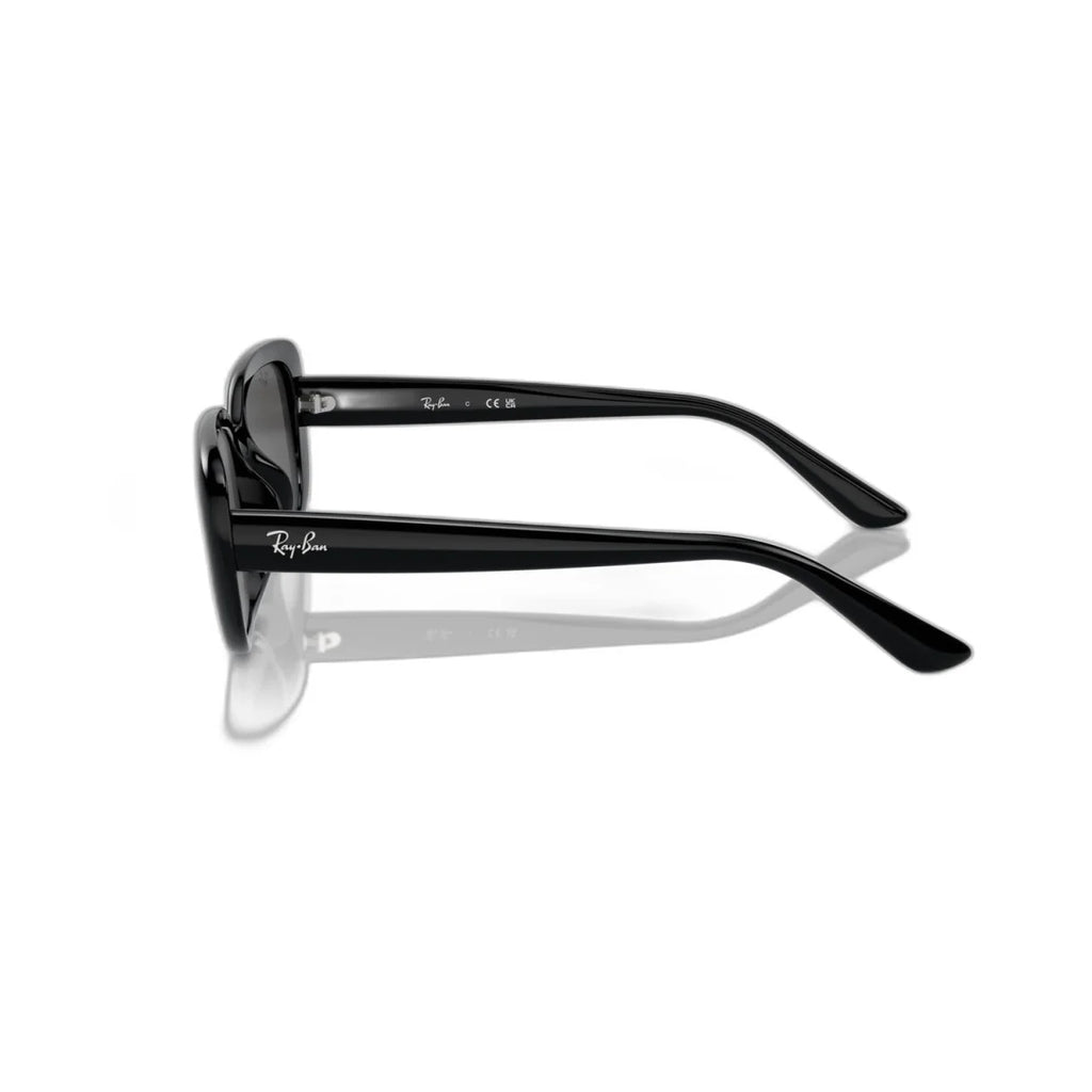 Ray Ban RB4421D 6677/87 56-18-145