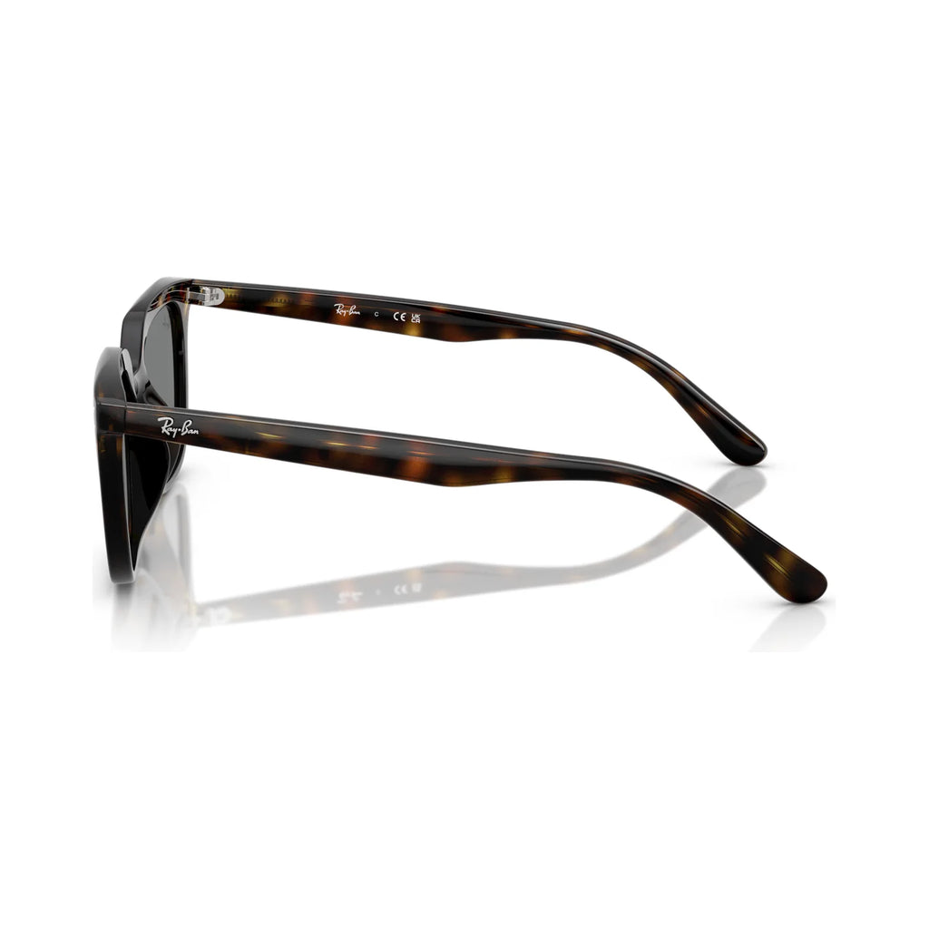Óculos de sol Ray Ban RB4439D 710/87 54-21