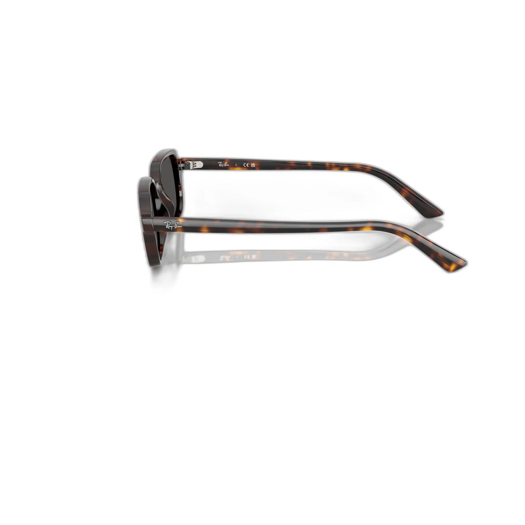 Ray Ban RB4455 135987 52