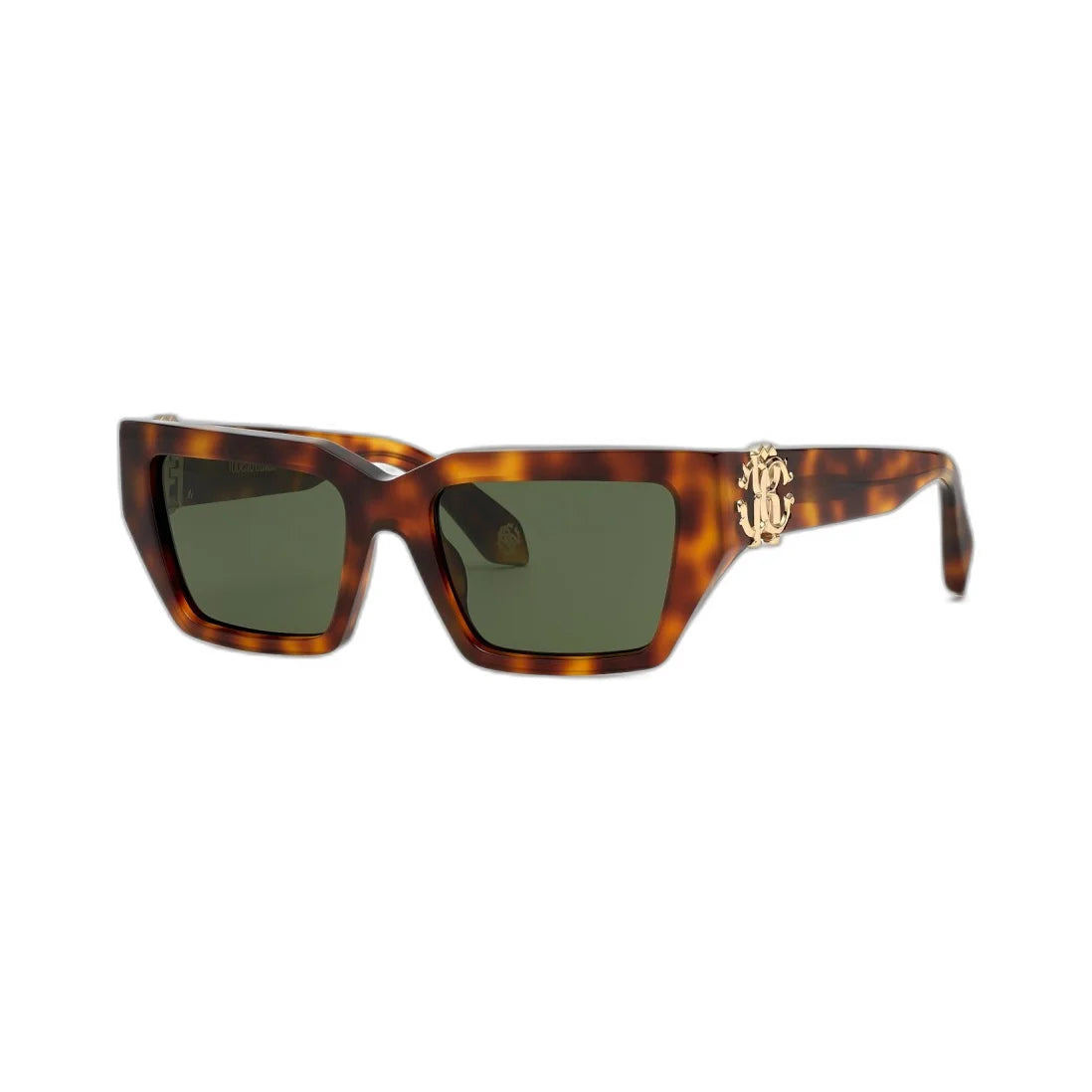 Roberto Cavalli SRC016M 02BP 55-19-135