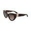 Óculos de sol Roberto Cavalli SRC017M 0722 53-20-135